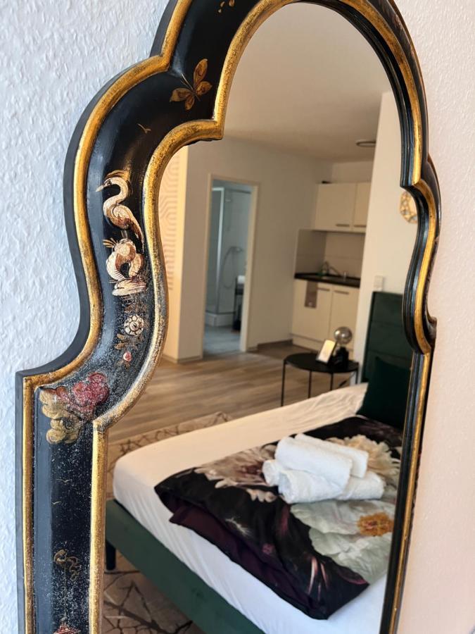 Am Klinikum, Naehe Europa Park Und Strasbourg, Zentrumsnah オフェンブルク エクステリア 写真